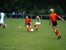 0DIA1981 RAVAKAMP EN ZEIST C1